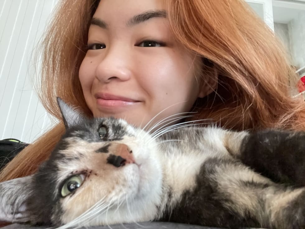 Photo in Sitter's gallery