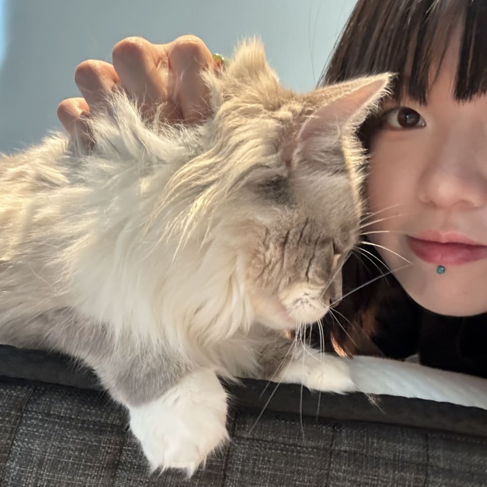 Photo in Sitter's gallery