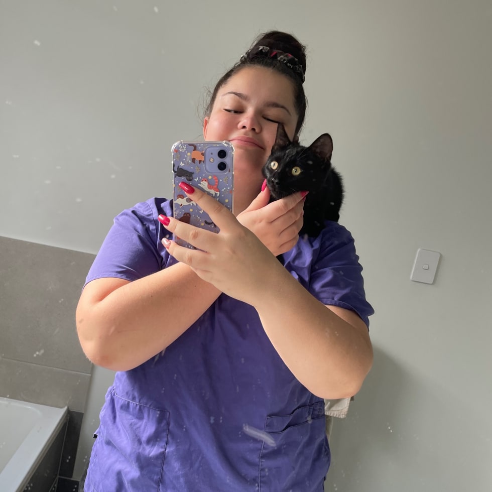 Photo in Sitter's gallery