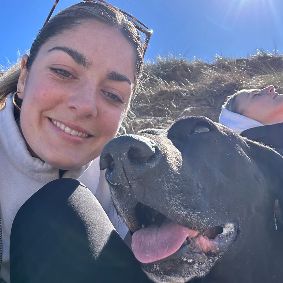 Photo in Sitter's gallery