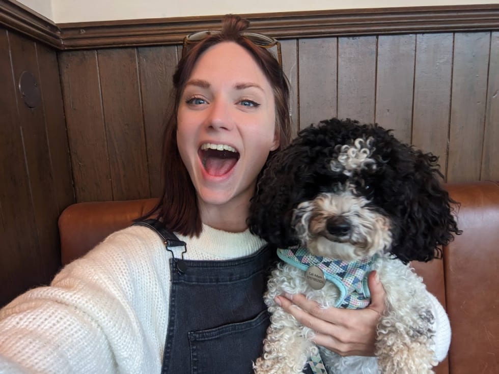 Photo in Sitter's gallery