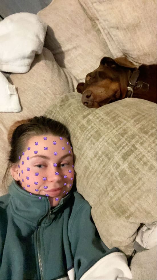 Photo in Sitter's gallery