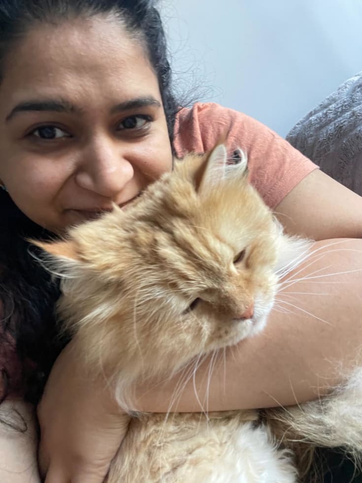 Photo in Sitter's gallery