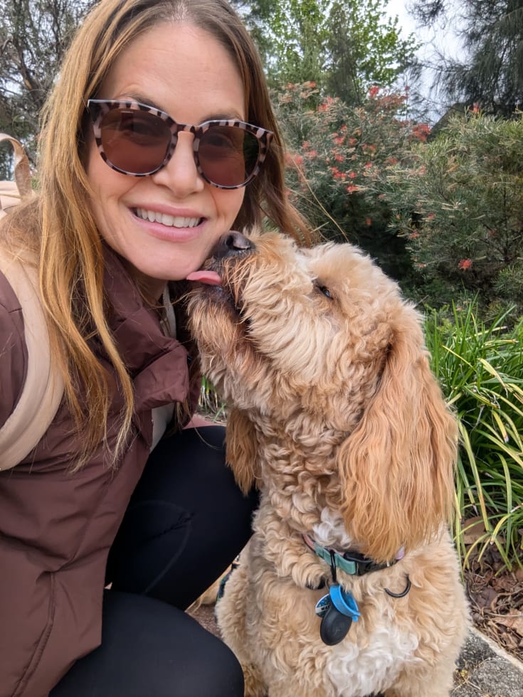 Photo in Sitter's gallery