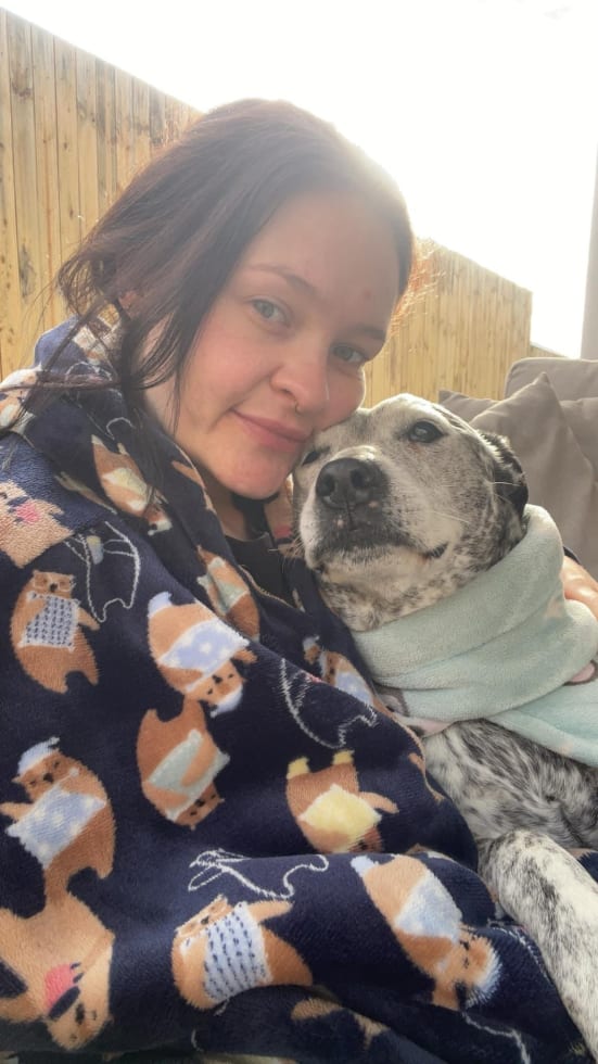 Photo in Sitter's gallery