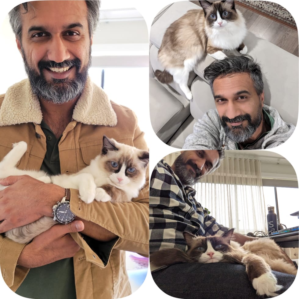 Photo in Sitter's gallery