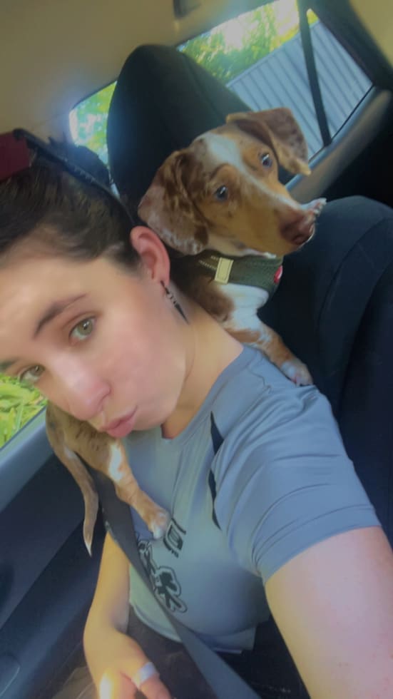 Photo in Sitter's gallery