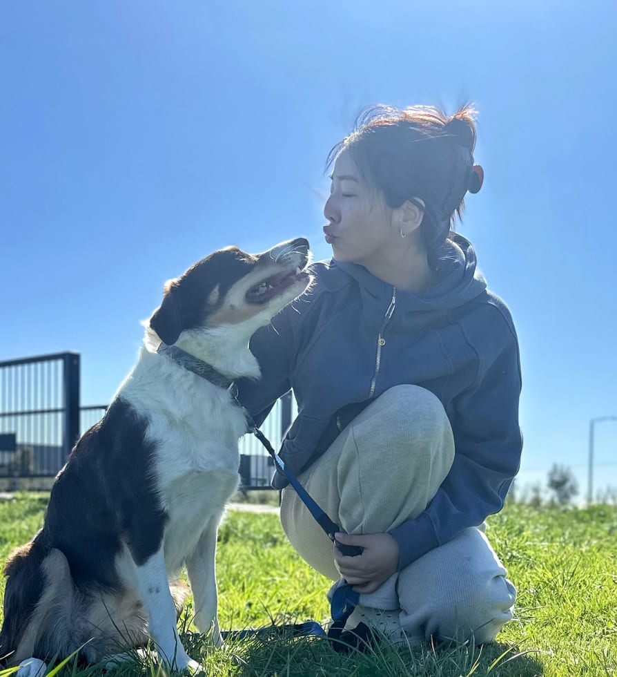 Photo in Sitter's gallery