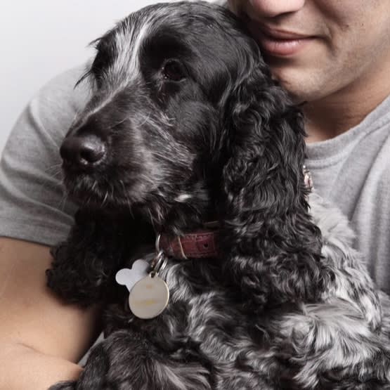 Photo in Sitter's gallery