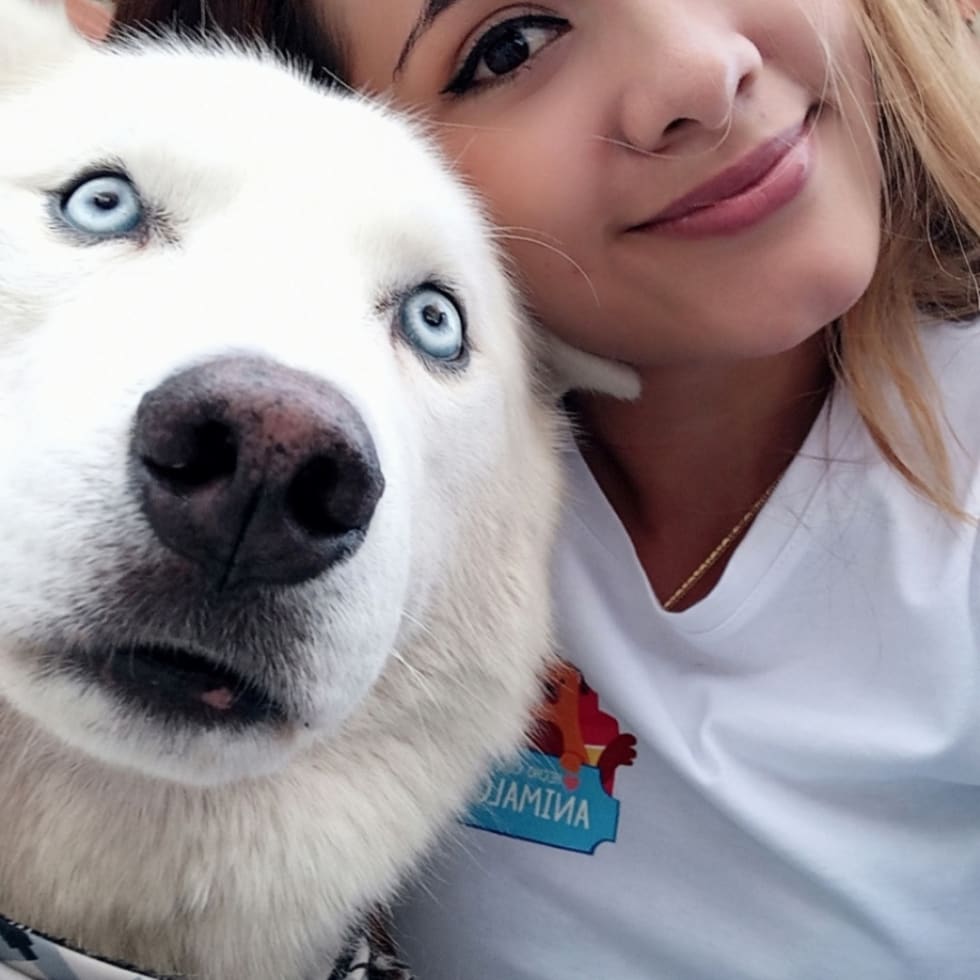 Photo in Sitter's gallery