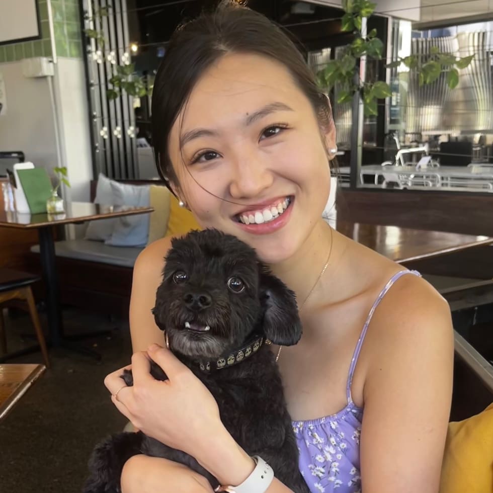 Photo in Sitter's gallery