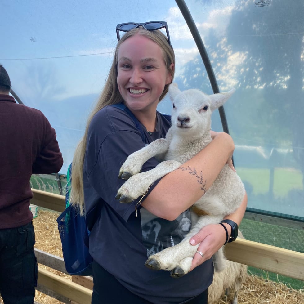 Photo in Sitter's gallery