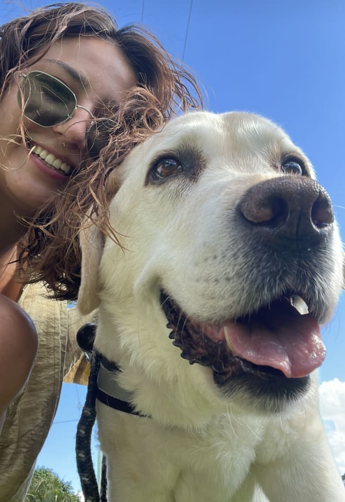 Photo in Sitter's gallery