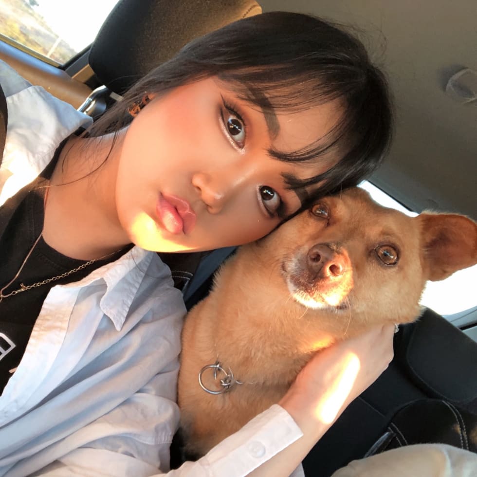 Photo in Sitter's gallery