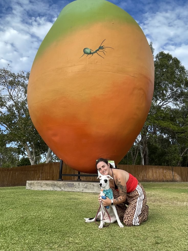 Photo in Sitter's gallery