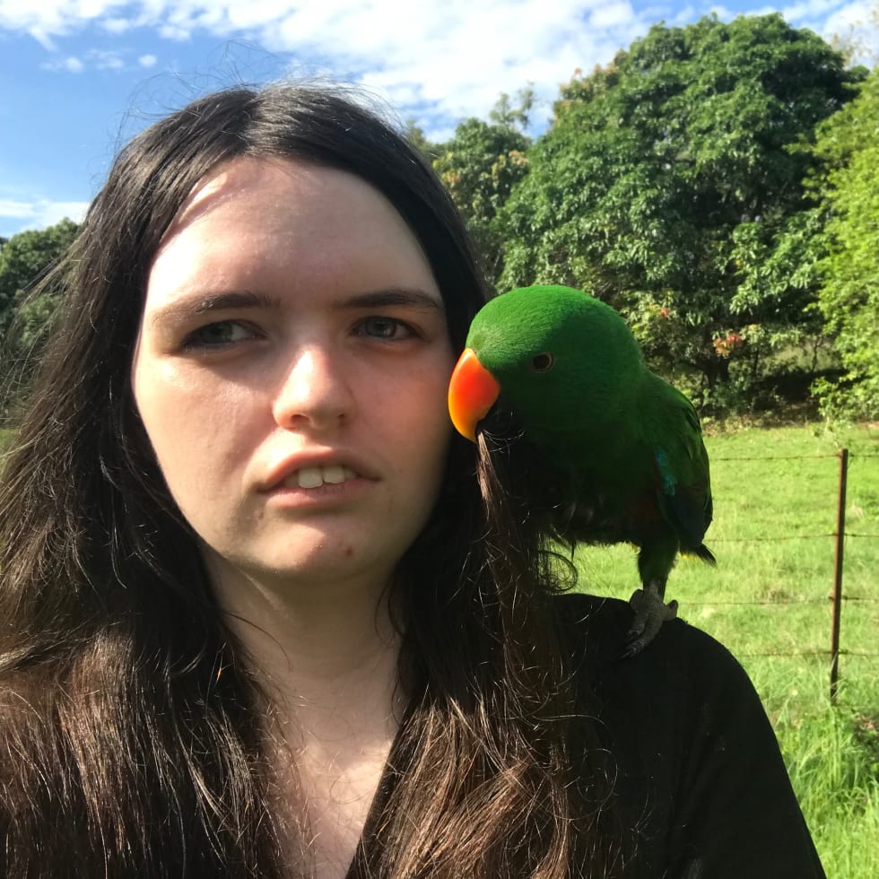 Photo in Sitter's gallery