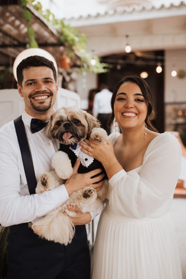 Photo in Sitter's gallery