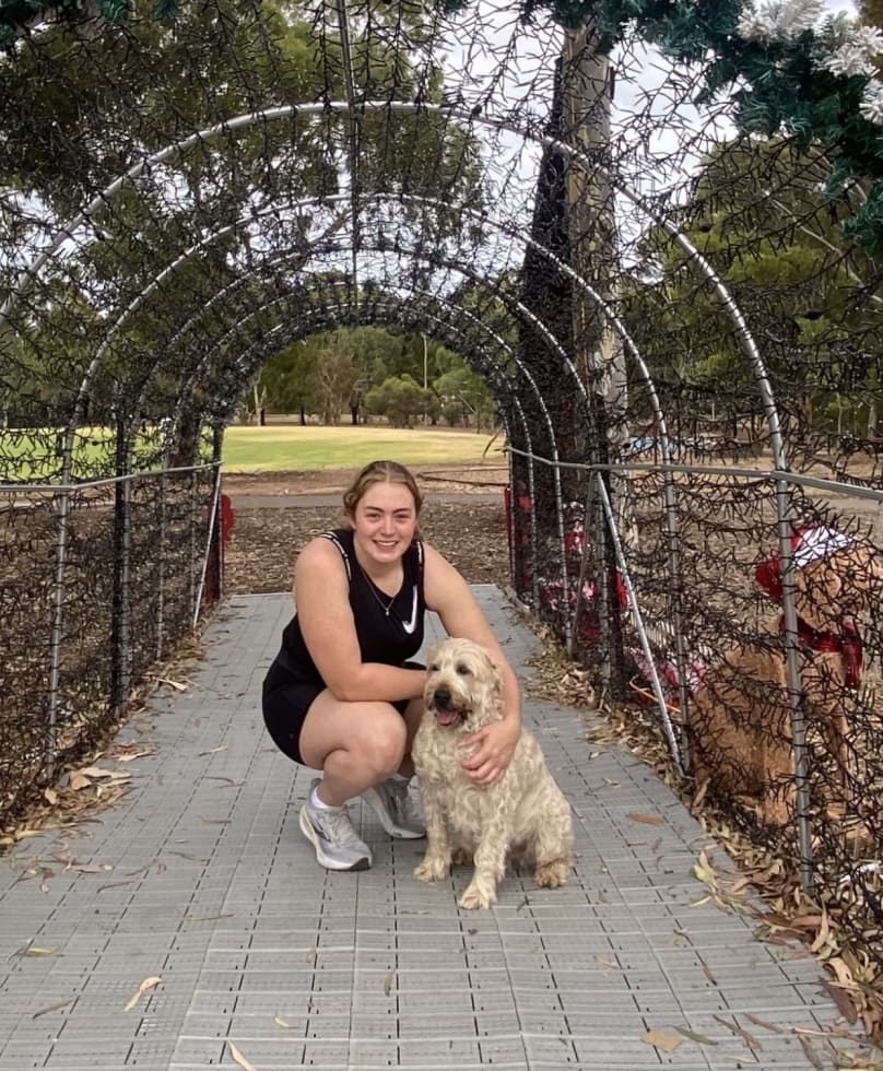 Photo in Sitter's gallery