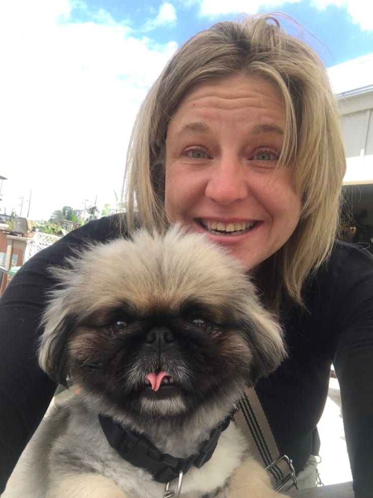 Photo in Sitter's gallery