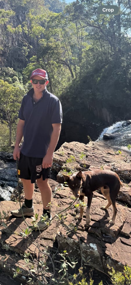 Photo in Sitter's gallery