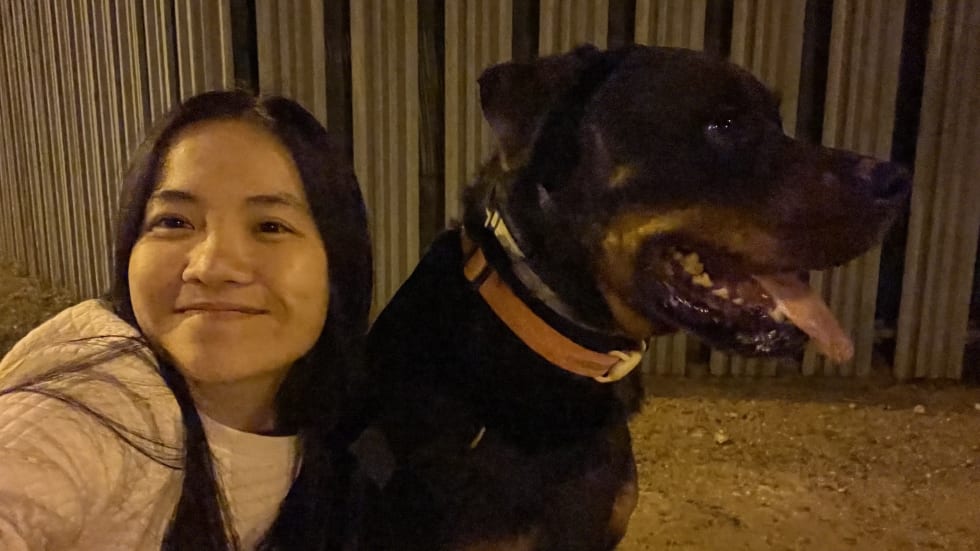 Photo in Sitter's gallery