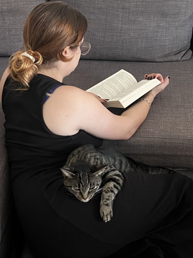 Photo in Sitter's gallery