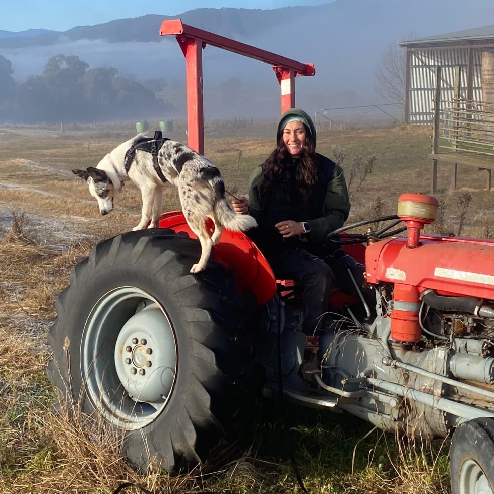 Photo in Sitter's gallery