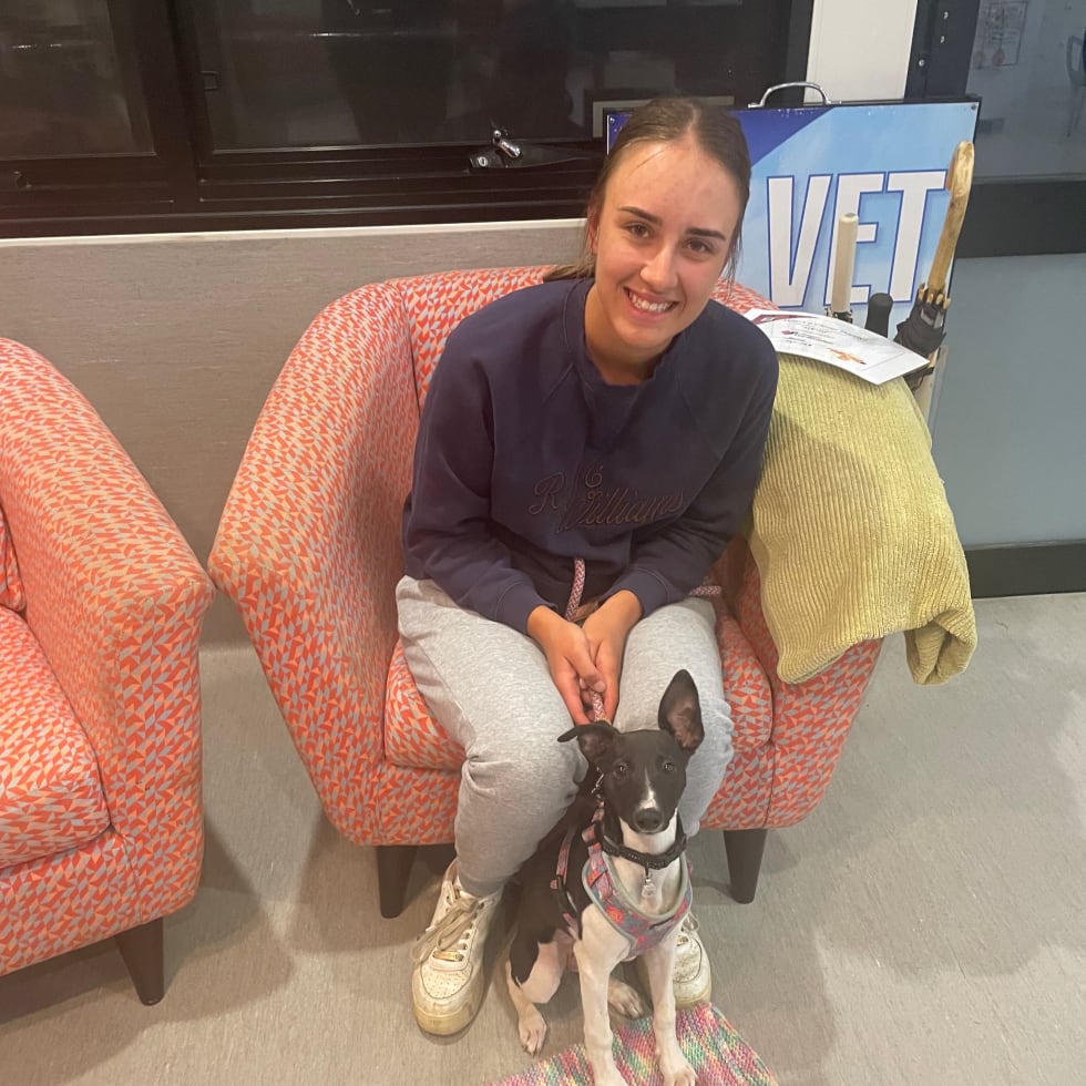 Photo in Sitter's gallery