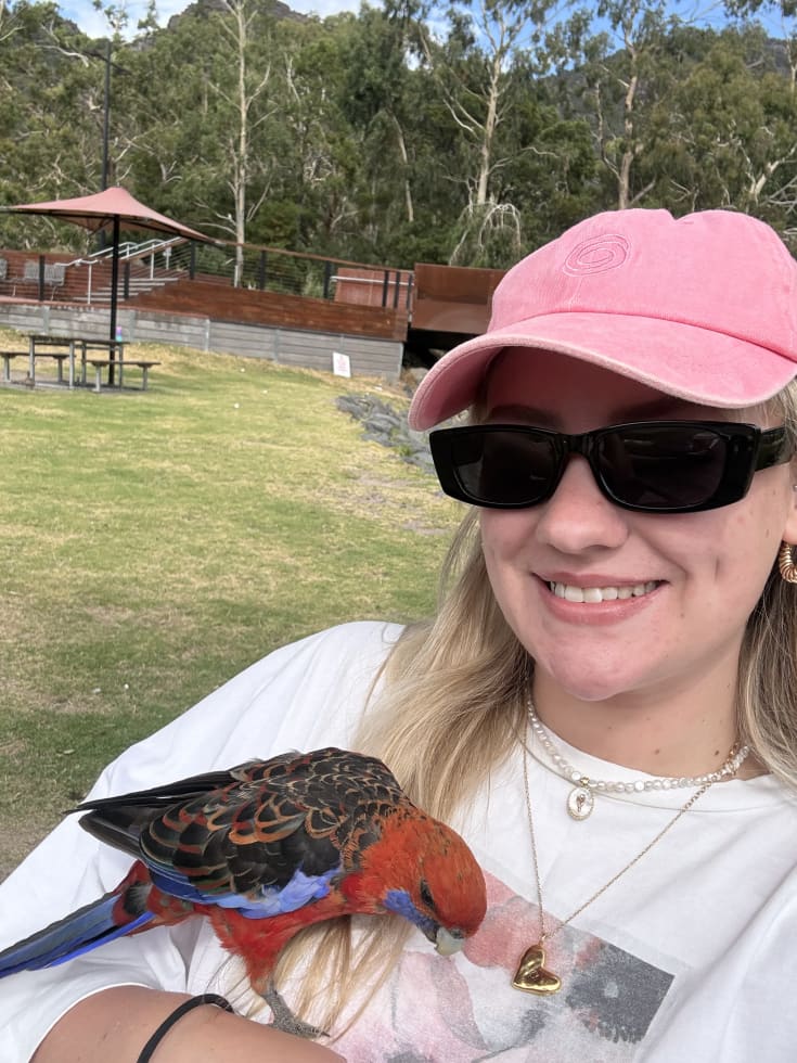 Photo in Sitter's gallery