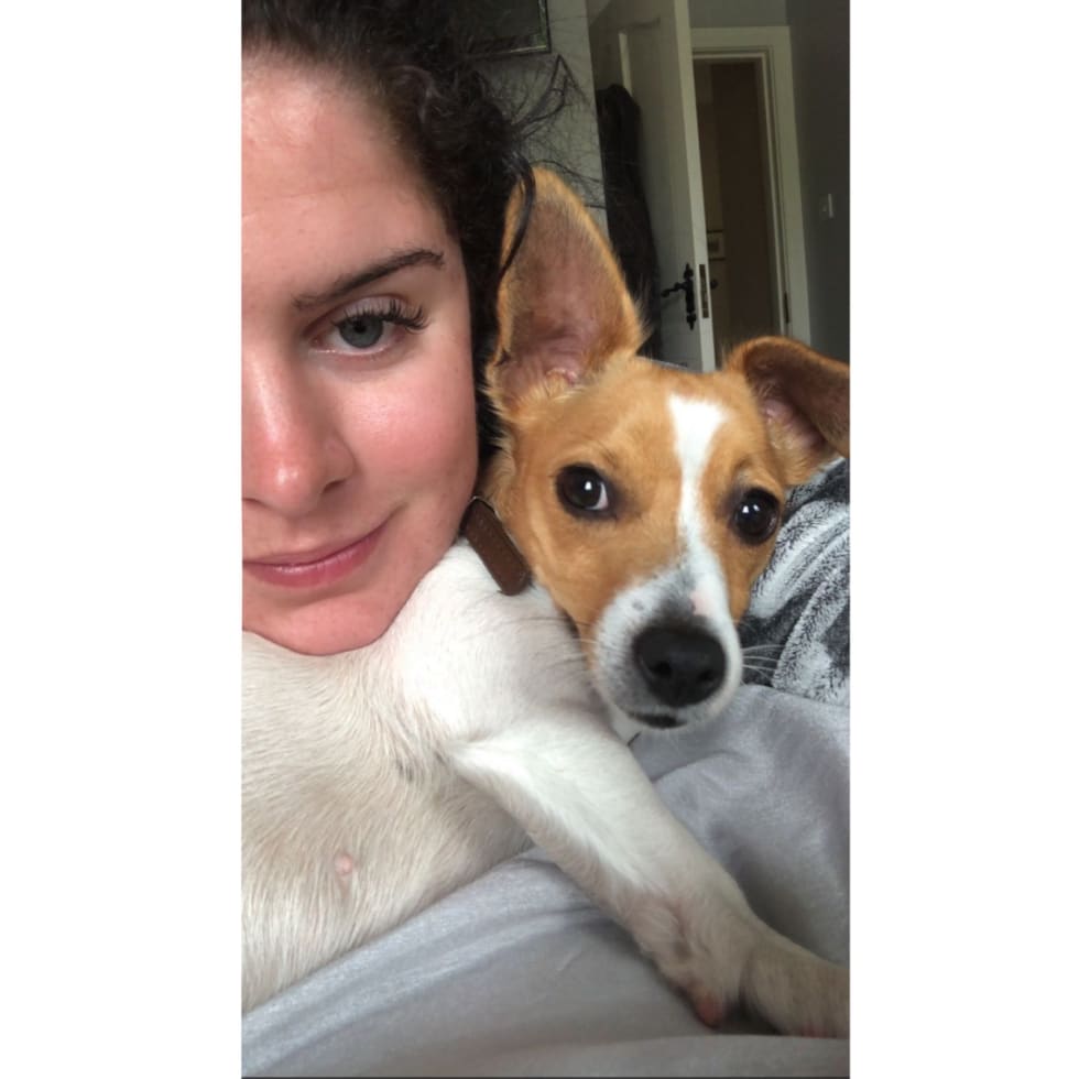 Photo in Sitter's gallery