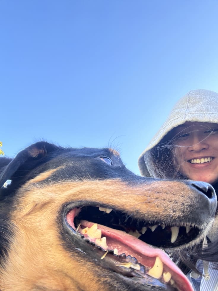 Photo in Sitter's gallery