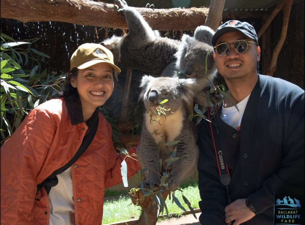 Photo in Sitter's gallery