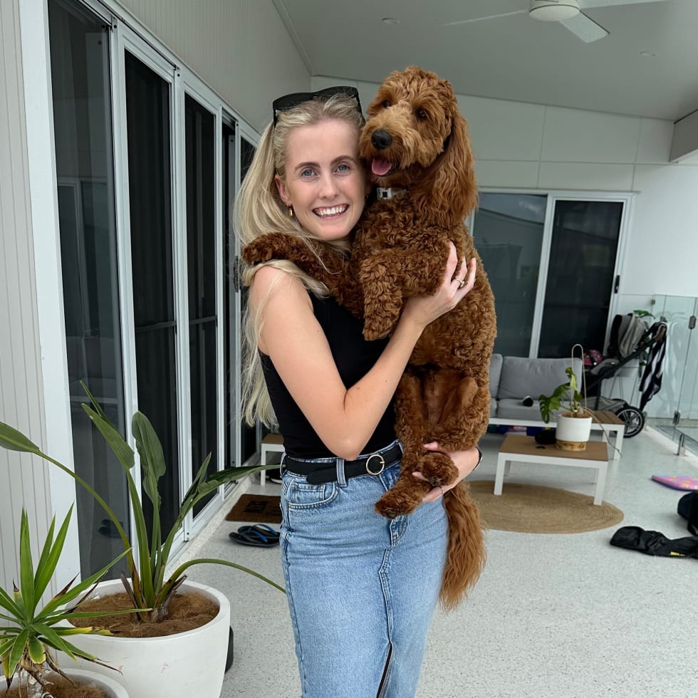 Photo in Sitter's gallery