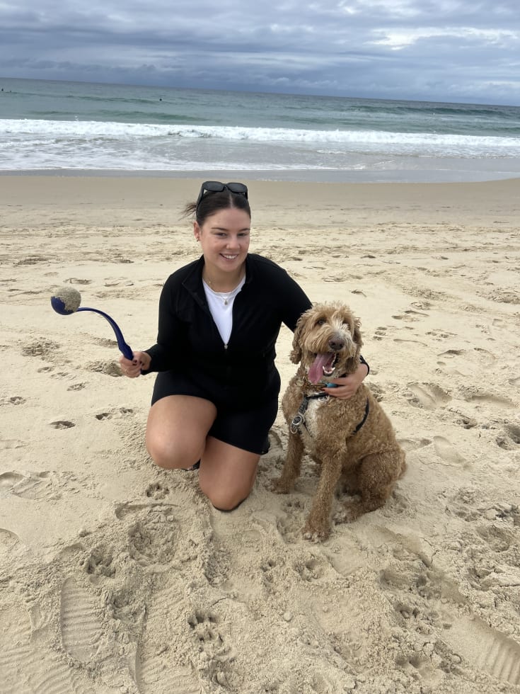 Photo in Sitter's gallery