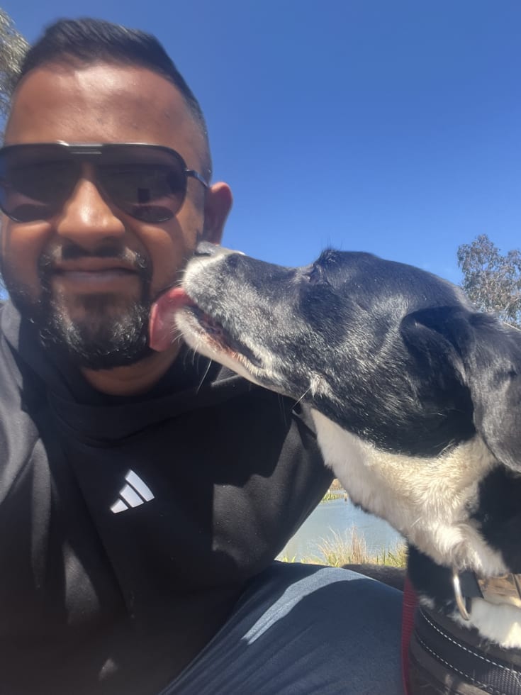 Photo in Sitter's gallery