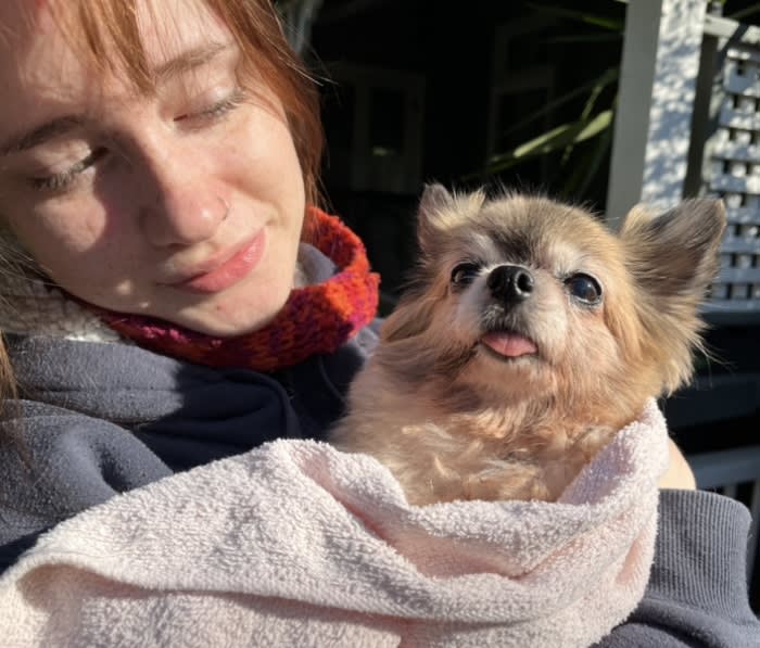 Photo in Sitter's gallery