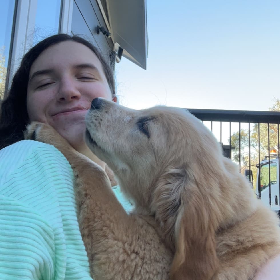 Photo in Sitter's gallery