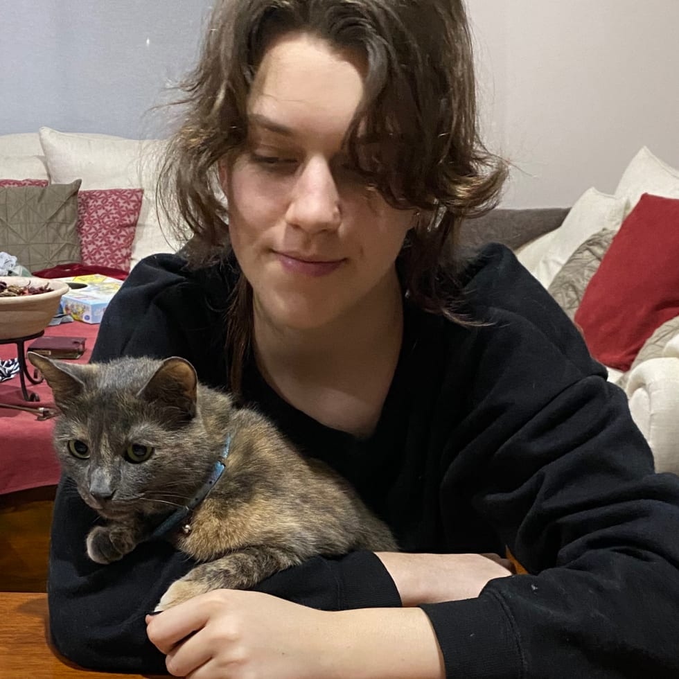 Photo in Sitter's gallery