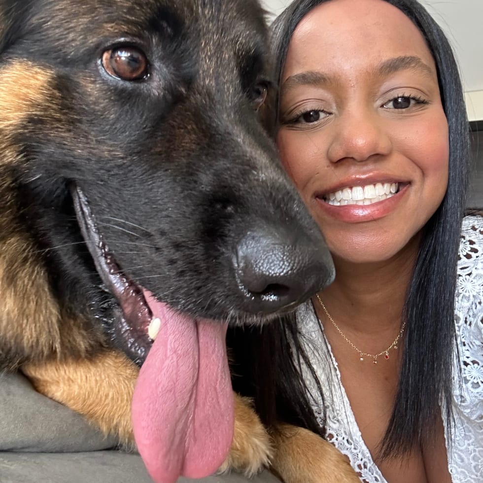 Photo in Sitter's gallery