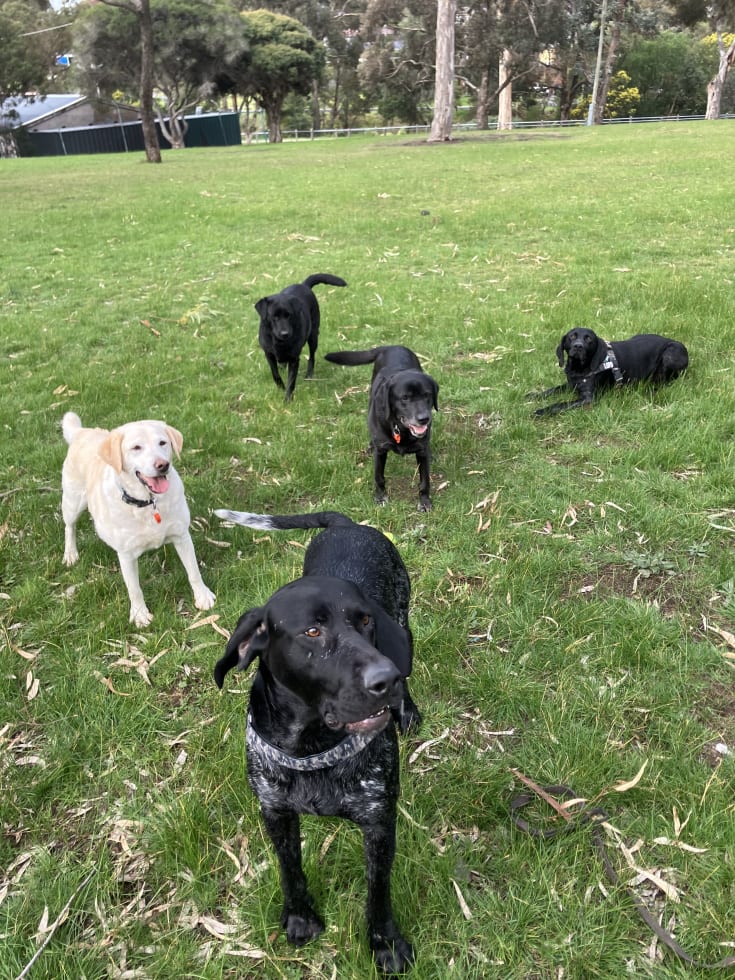 Photo in Sitter's gallery