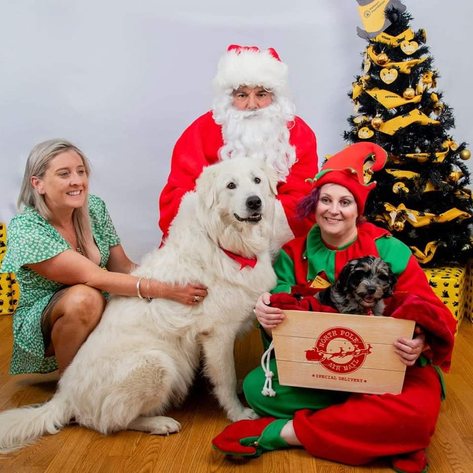 Photo in Sitter's gallery