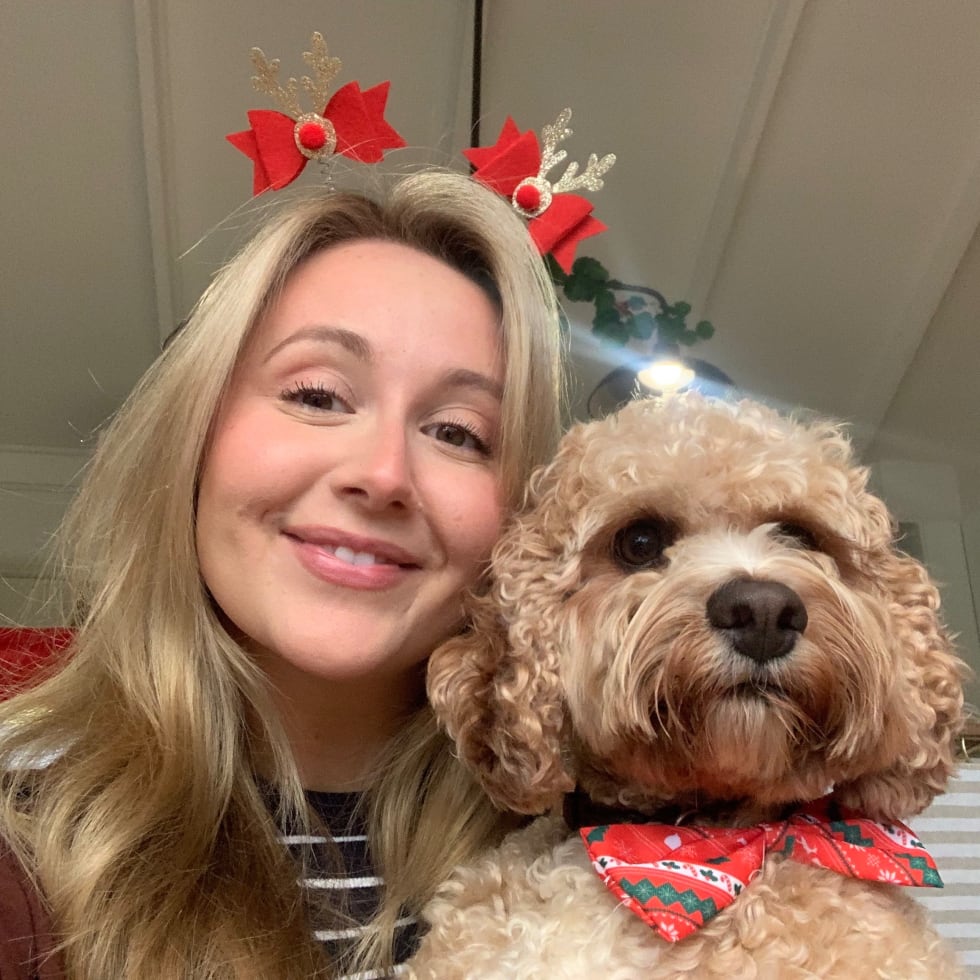 Photo in Sitter's gallery