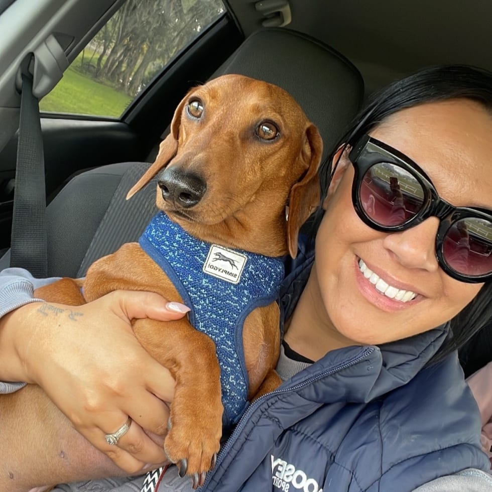 Photo in Sitter's gallery