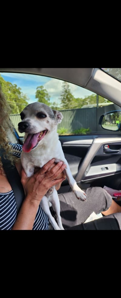 Photo in Sitter's gallery