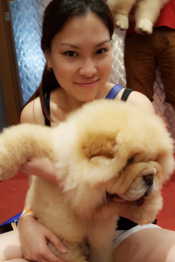 Photo in Sitter's gallery