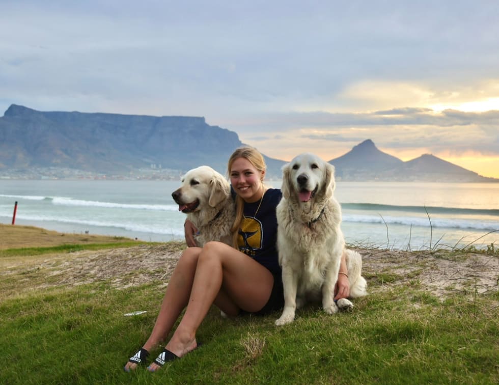 Photo in Sitter's gallery