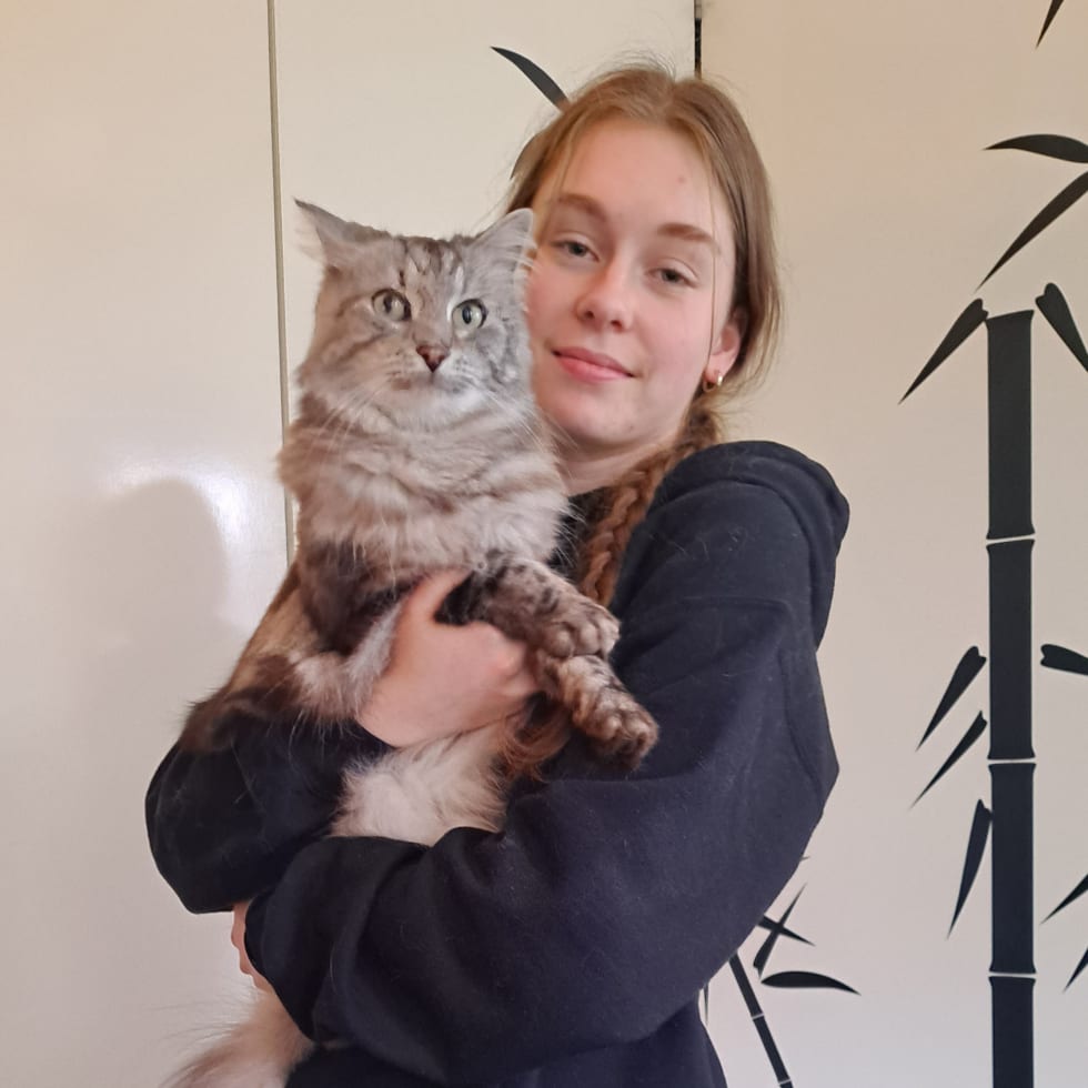 Photo in Sitter's gallery