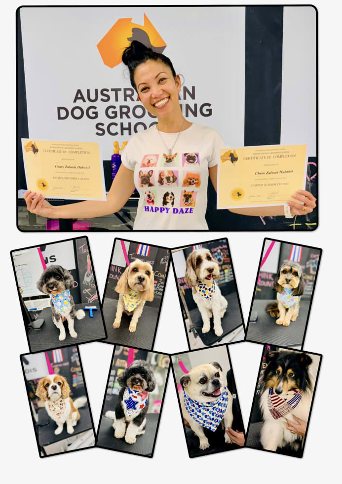 Photo in Sitter's gallery