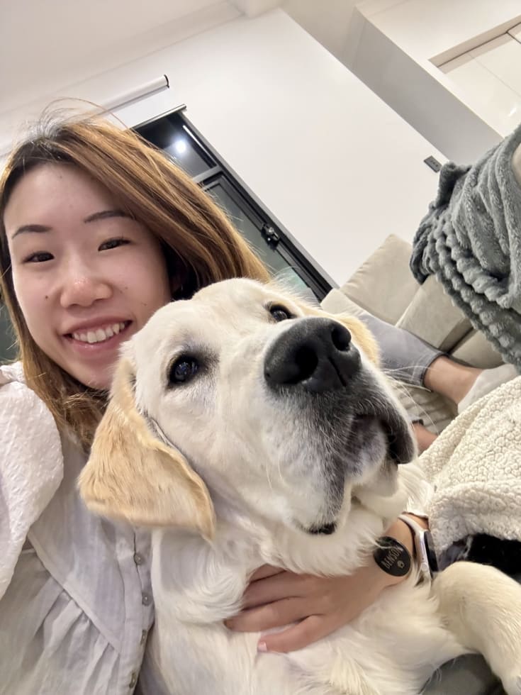 Photo in Sitter's gallery