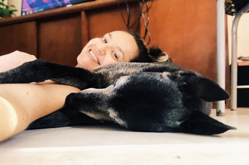 Photo in Sitter's gallery